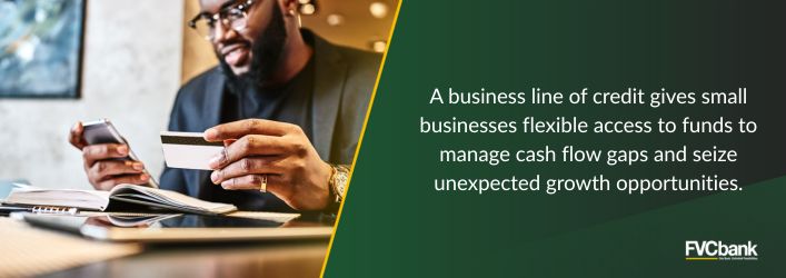 Business Line of Credit gives small businesses flexible access to funds